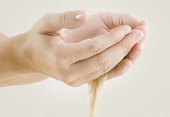 /assets/images/HLA-Acerca_04_350x240.png