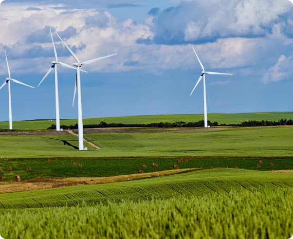 /assets/images/sustainability-first-image.jpg