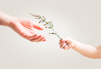 /assets/images/HLA-Sostenibilidad_01_350x240.png